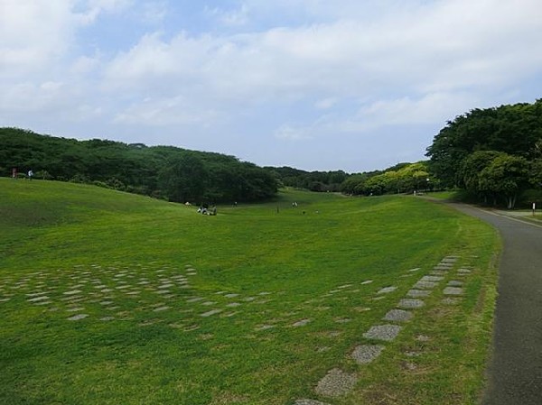 周辺環境:根岸森林公園(根岸森林公園まで500m)