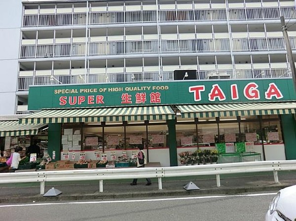 周辺環境:タイガ永田店(タイガ永田店まで900m)