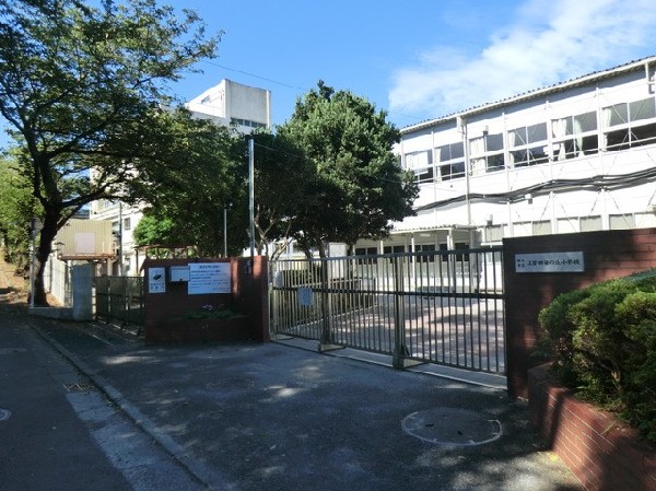 周辺環境:横浜市立上菅田笹の丘小学校(横浜市立上菅田笹の丘小学校まで1300ｍ)