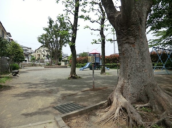 周辺環境:秋葉第一公園(秋葉第一公園まで120ｍ)
