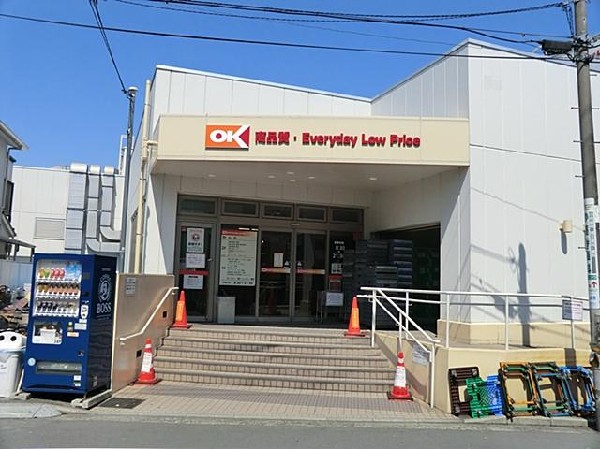 周辺環境:オーケー妙蓮寺店(オーケー妙蓮寺店まで800m)