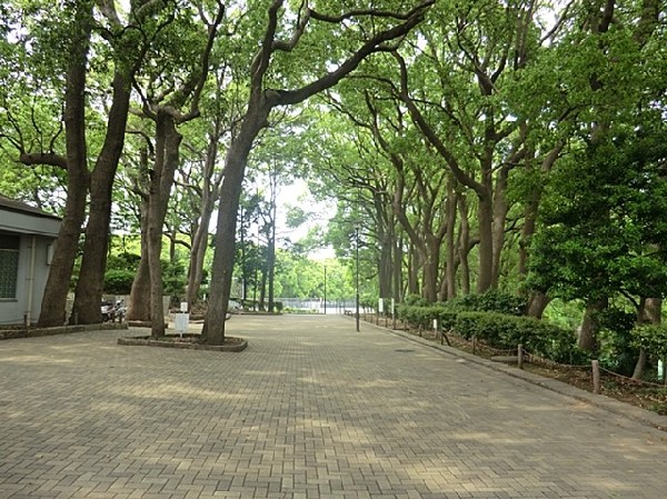 周辺環境:常盤公園(大規模公園)