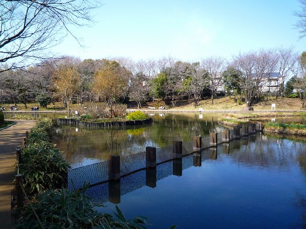 周辺環境:せせらぎ公園(樹木が立ち並び、木漏れ日を愉しめる公園。都会の騒がしさから解放される、大人も癒される落ち着きある空間が広がります。)