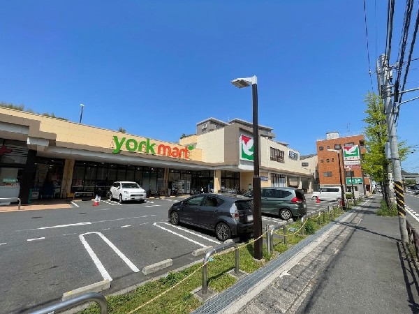 周辺環境:ヨークマート川崎野川店(セブン＆アイ・ホールディングス傘下のイトーヨーカ堂が関東南部に展開する日本のスーパーマーケットです。)