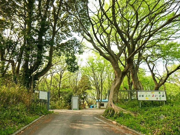 周辺環境:稲城ふれあいの森(樹木が立ち並び、木漏れ日を愉しめる公園。都会の騒がしさから解放される、大人も癒される落ち着きある空間が広がります。)