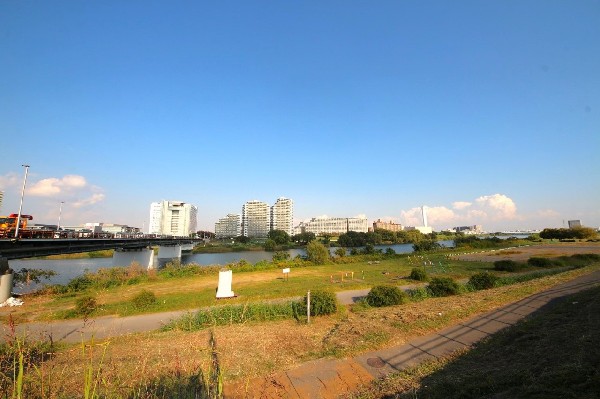 周辺環境:鉄棒広場(多摩川河川敷にある公園。芝生の広場に3台の鉄棒があります。大人も子供の楽しめる懸垂のできる公園。)