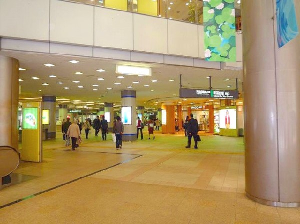 周辺環境:青葉台駅(渋谷からは急行で約28分、あざみ野の次に停車する急行停車駅です。駅を取り囲むようにショッピングセンターが立っており、駅前で何でも揃います。)