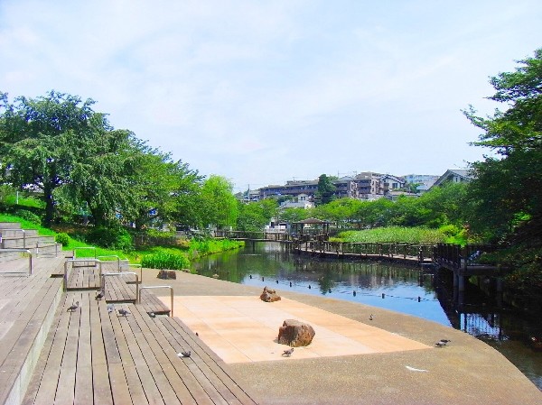 周辺環境:岸根公園(駅隣接の広くて有名な公園。じゃぶじゃぶ池やアスレチック、大きな芝生広場など、お弁当を持ってピクニックにくる方も大勢います。駐車場も完備。)