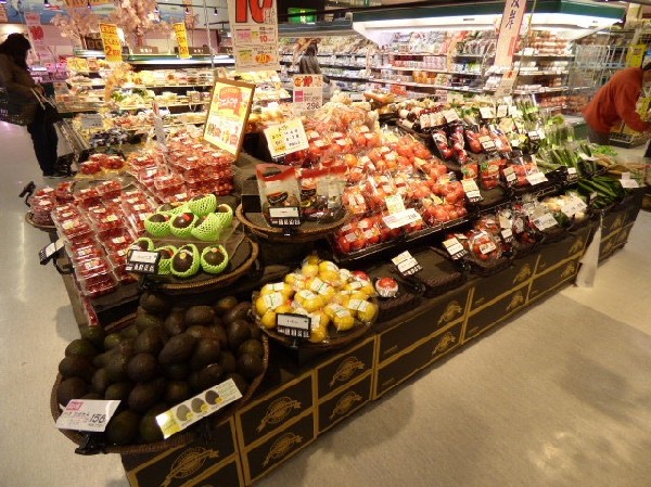 周辺環境:いなげや 川崎中野島店(明治33年創業。現在1都3県にスーパーマーケットチェーンとして、「いなげや」「ina21」「ブルーミングブルーミー」の各名称で店舗を展開。)