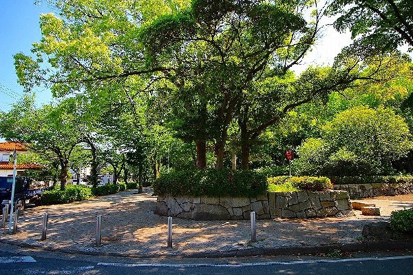 周辺環境:等々力緑地(子どもの遊び場やアスレチック施設などもあり、幼児から大人まで楽しめる公園。自然の多いとても広い公園なので、ゆったりと寛げます。)