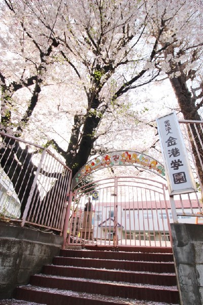 周辺環境:金港幼稚園(創立から100年以上ずっと変わらない遊びを中心にした保育。金港幼稚園で「生きる力」を育てよう。)