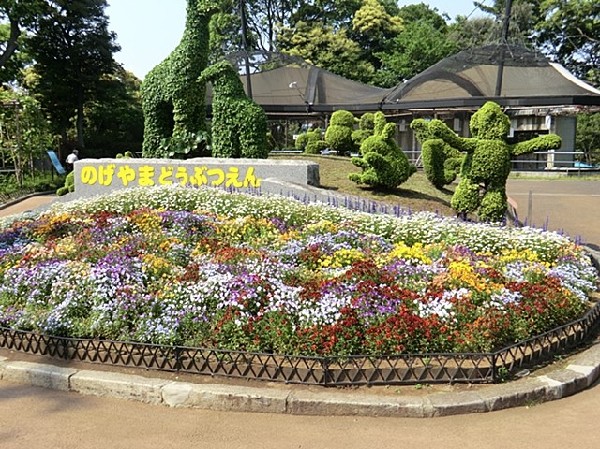 周辺環境:野毛山動物園(野毛山公園の中にあり桜の名所としても有名。ライオンやキリンなど、約90種類の動物が飼育されています。)