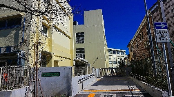 周辺環境:東台小学校(明治27年創立の歴史ある小学校。校庭の四方を囲むように立つ校舎と、大きなヒマラヤスギが特徴的です。)