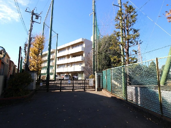 周辺環境:六角橋中学校(各学年7～8クラスのマンモス校。校庭が広く部活動が活発。柔道部、剣道部、水泳部、陸上部等が強豪です。)