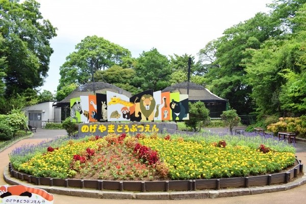 周辺環境:野毛山動物園(野毛山公園内に位置する横浜市立の入園無料の動物園。広い敷地内はお散歩コースとしても気楽に楽しめます。)